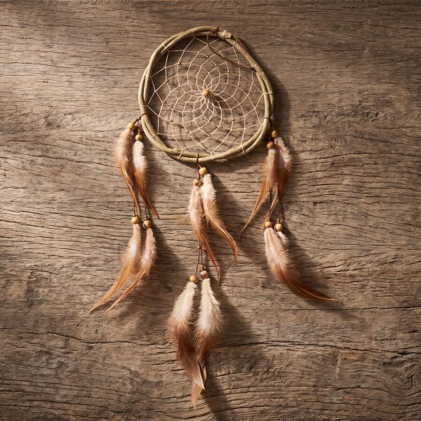 Large Dreamcatcher – Case of Four