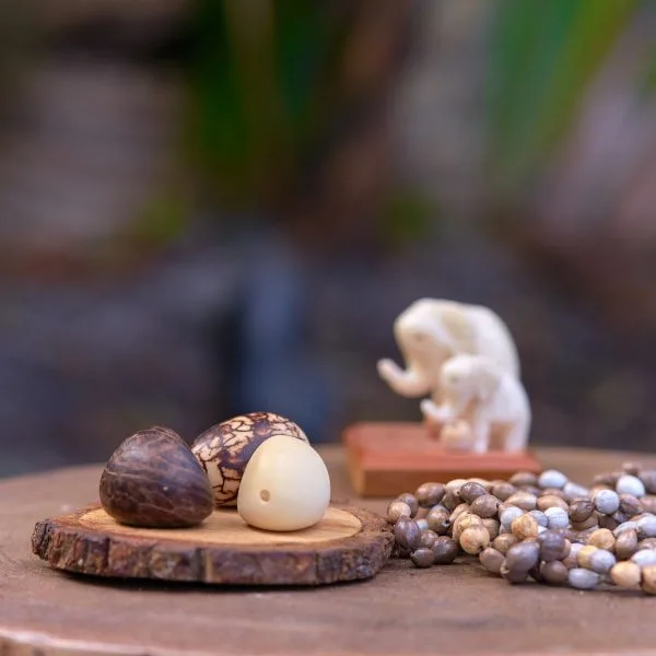 Tagua Nut Set – Case of Four