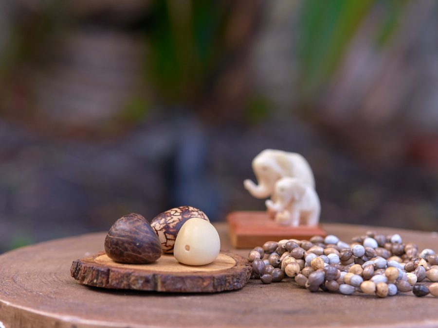 Tagua Nut Set - Case of Four