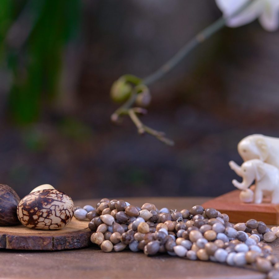 Alternative view of Tagua Nut Set - Case of Four