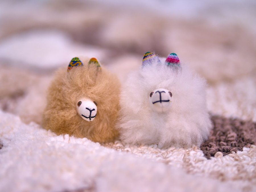 Alpaca Pom Pom Keychain - Case of Four