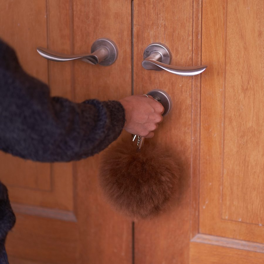 Alternative view of Alpaca Llama Keychain - Case of Four