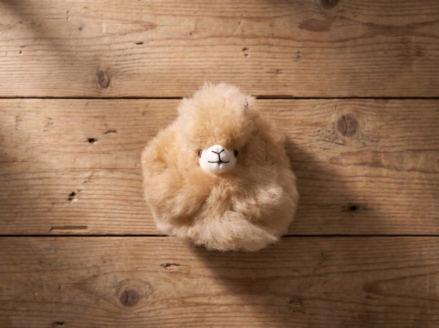 Alpaca Pom Pom Keychain - Case of Four