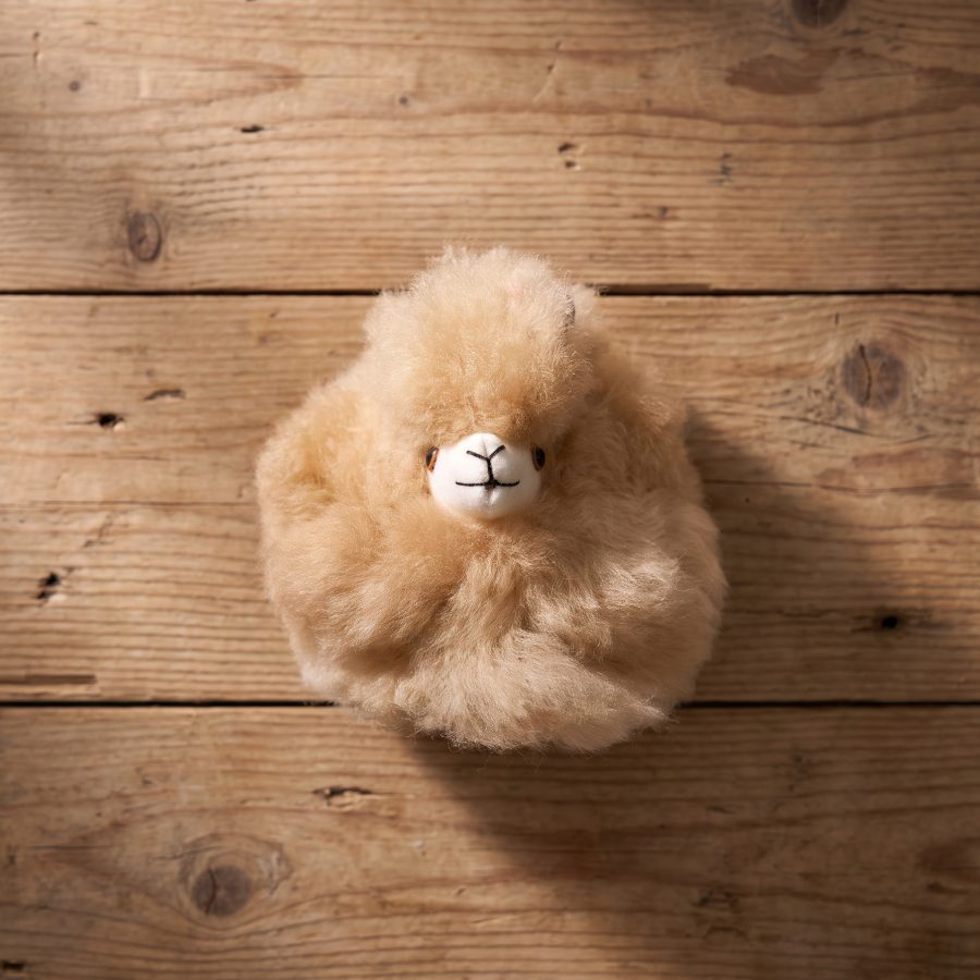 Alpaca Pom Pom Keychain - Case of Four
