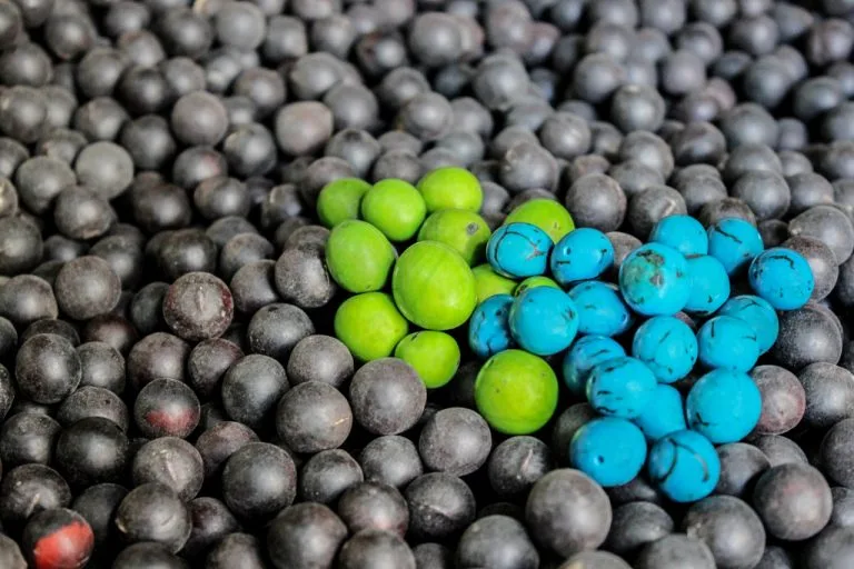 Seeds, berries and nuts used in Terra jewelry