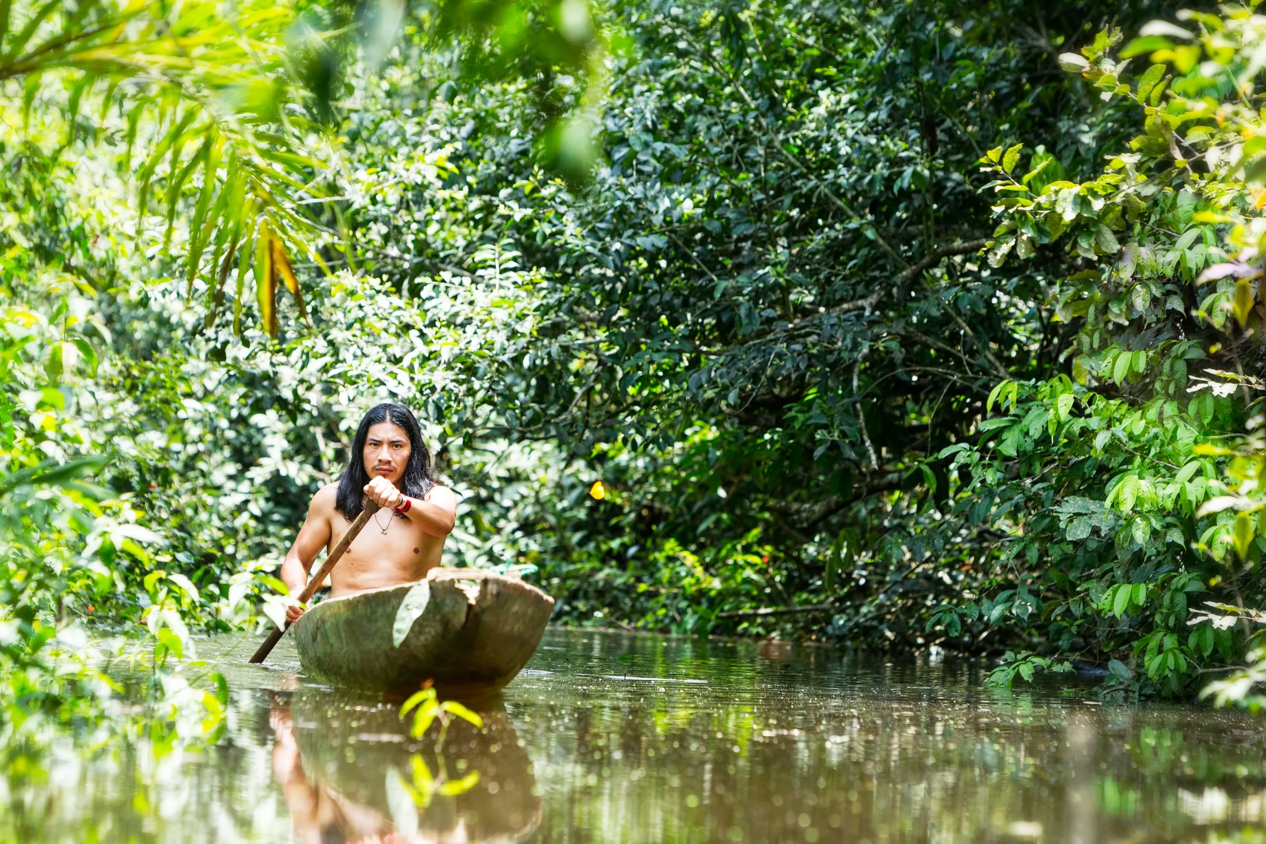 Amazon rainforest