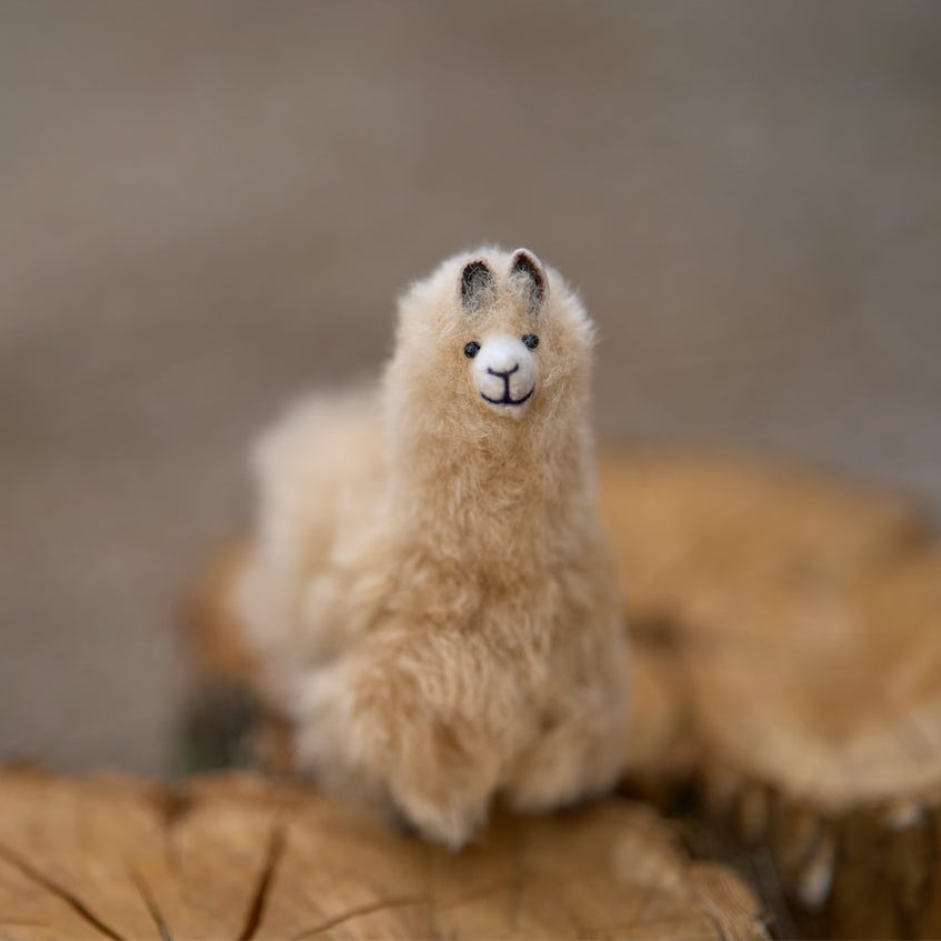 Alternative view of Alpaca Soft Llama Keychain - Case of Four