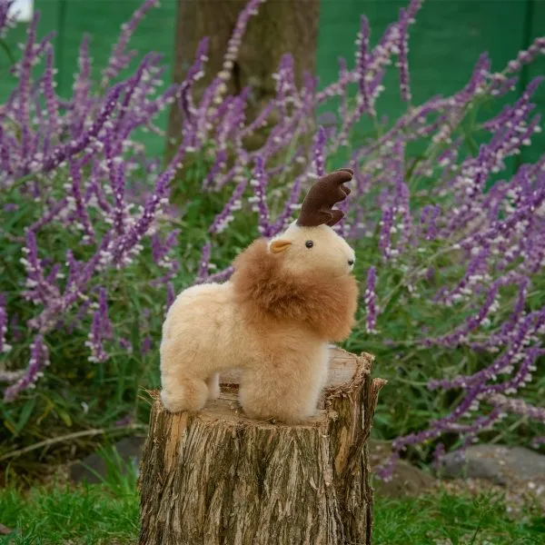 Alpaca Reindeer Buddy