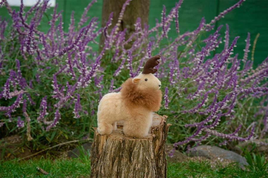 Alpaca Reindeer Buddy