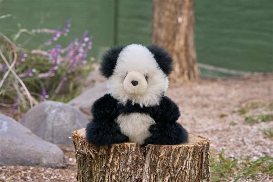 Alpaca Panda Friend - Case of Two