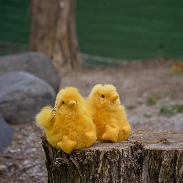 Alpaca Chick Keychain – Case of Four – view 9