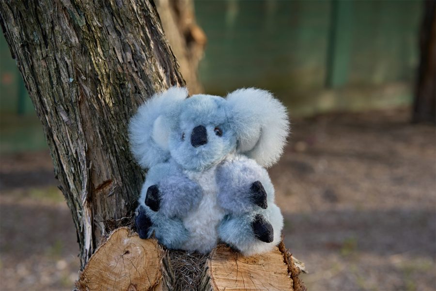 Soft Koala Buddy -  Case of Two