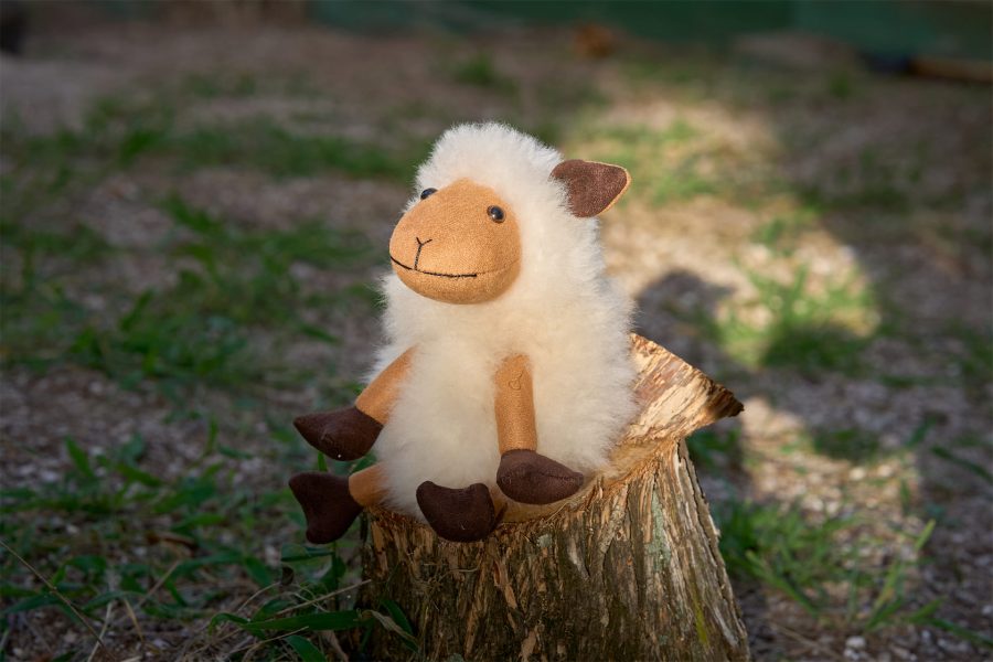 Soft Sheep Alpaca - Case of Two
