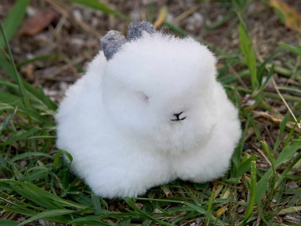 Alternative view of Alpaca Bunny Keychain - Case of Four