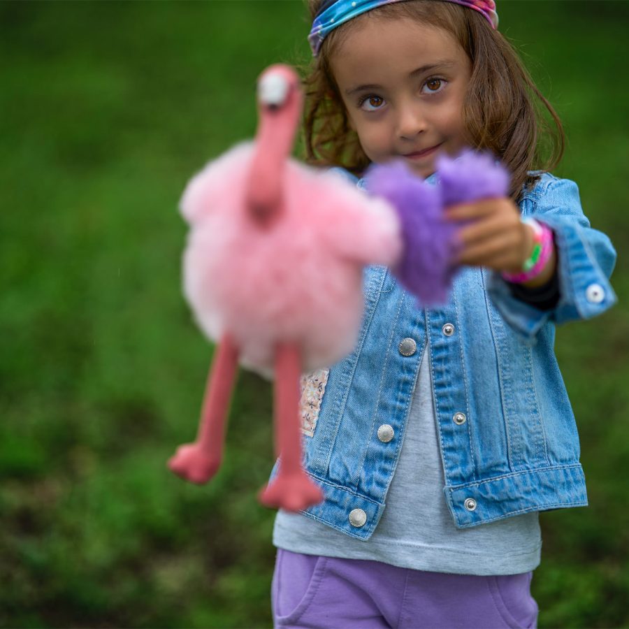 Alternative view of ALPACA FLAMINGO MOM - Case of 4