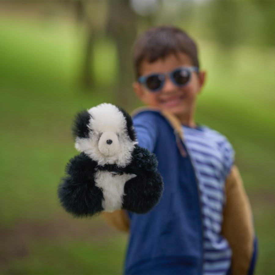 Alternative view of Alpaca Panda Friend - Case of Two