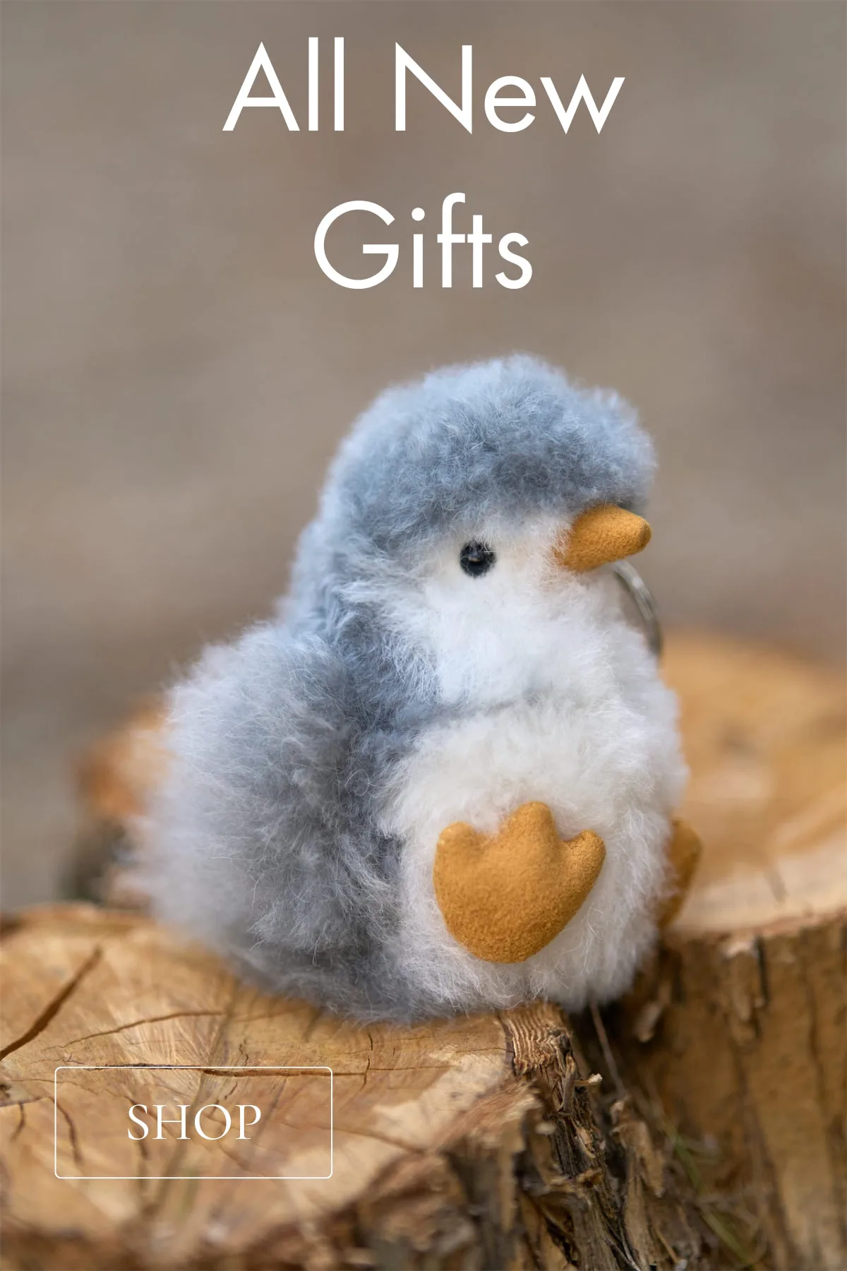 All new gifts: shop